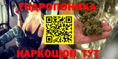 MDMA Гатчина