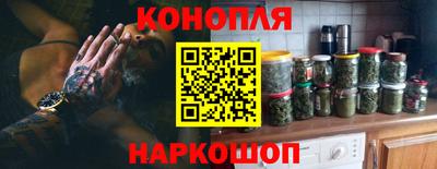 эйфоретик Гай