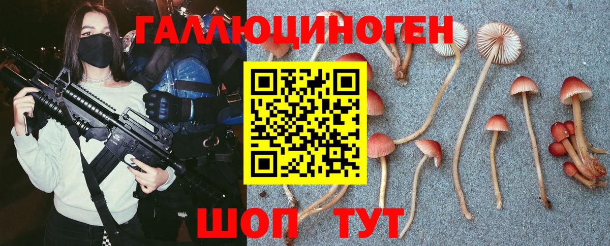 Мыски  Псилоцибиновые грибы MAGIC MUSHROOMS  Вход с VPN 